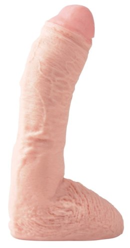 Pipedream Basix Model anatomiczny z jądrami cielisty 25 cm PVC