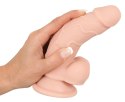 Nature Skin model 17cm - elastyczny anatomiczny model z przyssawką