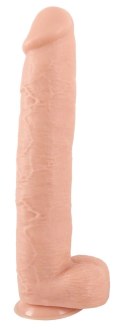 Realistixxx Model XXXL Naturalny 42cm - anatomiczny kształt, mocna podstawa