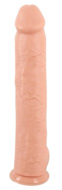 Realistixxx Model XXXL Naturalny 42cm - anatomiczny kształt, mocna podstawa