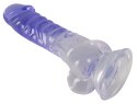 You2Toys Crystal model anatomiczny z przyssawką 19 cm przezroczysty