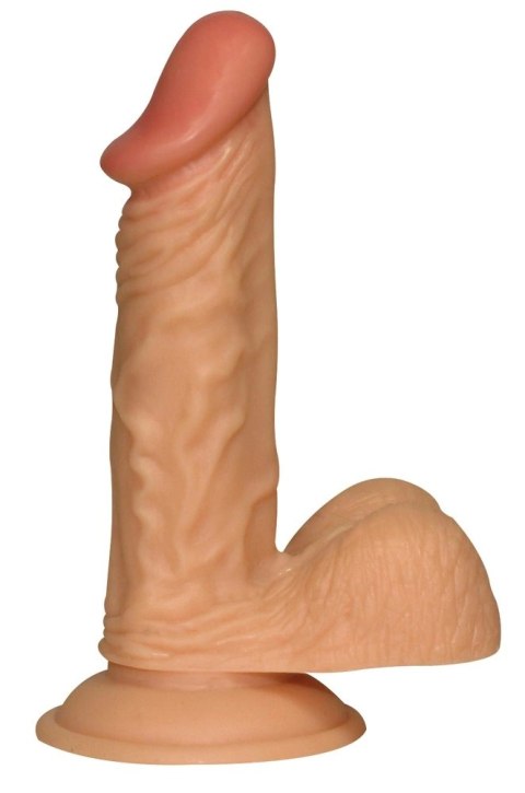 NMC - Model anatomiczny z fakturą żył, 17 cm, kolor naturalny NMC - Model anatomiczny z fakturą żył, 17 cm, kolor naturalny