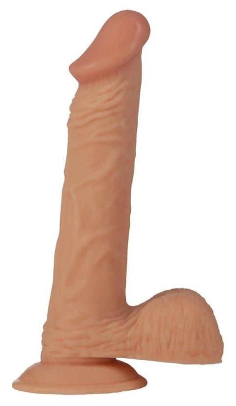 NMC Model anatomiczny z wyraźną teksturą, 23 cm, kolor naturalny NMC Model anatomiczny z wyraźną teksturą, 23 cm, kolor naturalny