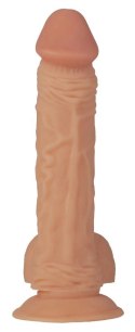NMC Model anatomiczny z wyraźną teksturą, 23 cm, kolor naturalny