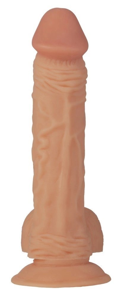 NMC Model anatomiczny z wyraźną teksturą, 23 cm, kolor naturalny NMC Model anatomiczny z wyraźną teksturą, 23 cm, kolor naturalny
