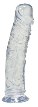 You2Toys Crystal model anatomiczny transparentny 19,5 cm