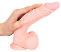You2Toys Model Silikonowy Medyczny 21 cm z Podstawą Prożniową