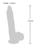 You2Toys Model Silikonowy Medyczny 21 cm z Podstawą Prożniową