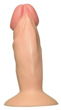 You2Toys Model anatomiczny z przyssawką PVC 11,5 cm - kompaktowy rozmiar