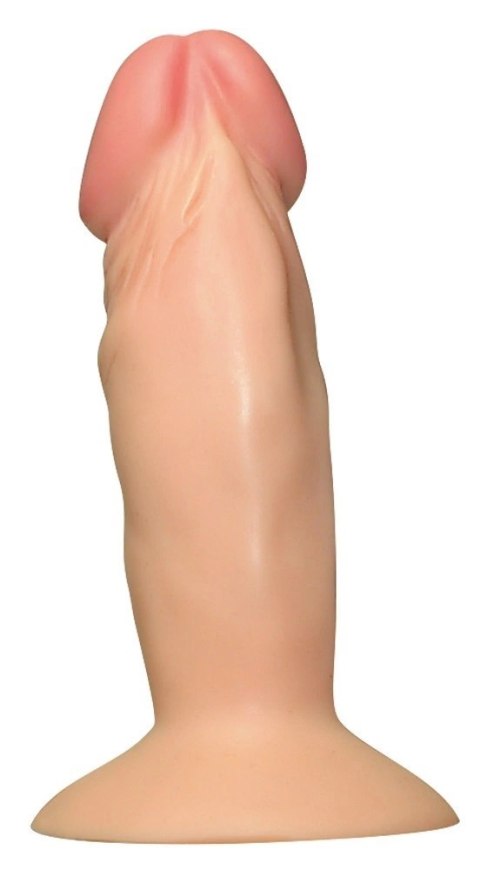 You2Toys Model anatomiczny z przyssawką PVC 11,5 cm - kompaktowy rozmiar You2Toys Model anatomiczny z przyssawką PVC 11,5 cm - kompaktowy rozmiar