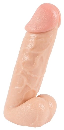 You2Toys model anatomiczny z podstawą, skora, 20,5 cm