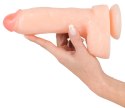 Realistixxx Model Naturalny 23 cm - anatomiczny kształt, przyssawka