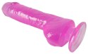 You2Toys Jerry Giant model anatomiczny z przyssawką 22 cm TPR