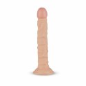 Real Fantasy Scott anatomiczny model z przyssawką, beżowy 20 cm
