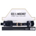 Sportsheets Sex & Mischief obroża z pierścieniem, tęczowa, regulowana