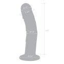 Glas Curved Realistic - model szklany, przezroczysty, 17 cm, z żyłkami