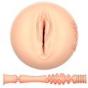 Kiiroo Feel Apolonia Lapiedra Stars Collection - anatomiczny model 200 mm