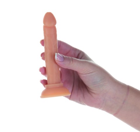 Addiction Tino Model 13 cm silikonowy z przyssawką i miniwibratorem Addiction Tino Model 13 cm silikonowy z przyssawką i miniwibratorem