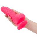 Addiction Tom Dong 18 cm Hot Pink silikonowy model z prążkowaną powierzchnią