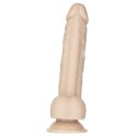 Addiction Tristan Model 23 cm silikonowy beżowy z przyssawką