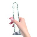 Addiction Crystal Addiction Transparent Model 23 cm z przyssawką