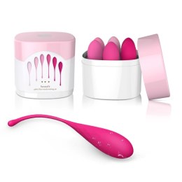 FeelzToys FemmeFit Set - zestaw 6 progresywnych kul treningowych Kegla