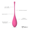 FeelzToys FemmeFit Set - zestaw 6 progresywnych kul treningowych Kegla