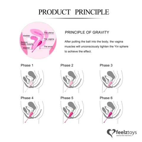 FeelzToys FemmeFit Set - zestaw 6 progresywnych kul treningowych Kegla FeelzToys FemmeFit Set - zestaw 6 progresywnych kul treningowych Kegla