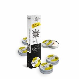 Petits Joujoux Waikiki Zestaw 5 Świec do Masażu Kokos Ananas 5x33g