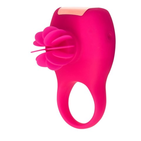 Tokyo Design Glamfit Cerise pierścień dynamiczny z funkcją obrotu USB Tokyo Design Glamfit Cerise pierścień dynamiczny z funkcją obrotu USB