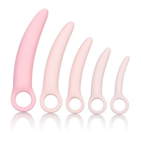 CalExotics Inspire Silicone Dilator Zestaw 5 Rozmiarow Rożowy CalExotics Inspire Silicone Dilator Zestaw 5 Rozmiarow Rożowy