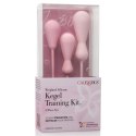 CalExotics Inspire Weighted Kegel Training Kit zestaw progresywny 3 szt.