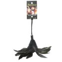 Sportsheets Pleasure Feather Black - piorko do masażu z pętelką