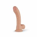 Real Fantasy Vince Dildo anatomiczne z przyssawką 19,5 cm