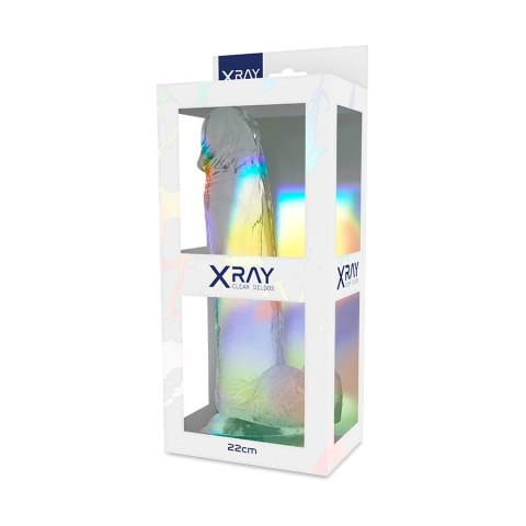 XRAY X Ray Clear - przezroczysty model anatomiczny z kulkami 22 cm XRAY X Ray Clear - przezroczysty model anatomiczny z kulkami 22 cm