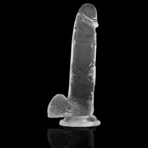 XRAY X Ray Clear - przezroczysty model anatomiczny z kulkami 22 cm XRAY X Ray Clear - przezroczysty model anatomiczny z kulkami 22 cm