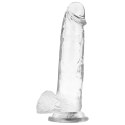 XRAY X Ray Clear - przezroczysty model anatomiczny z kulkami 22 cm