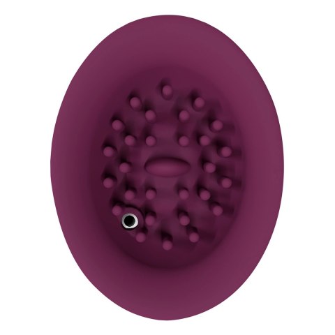 Shots Innovation Twitch 3 Urządzenie wielofunkcyjne ssąco-wibrujące USB Burgund Shots Innovation Twitch 3 Urządzenie wielofunkcyjne ssąco-wibrujące USB Burgund