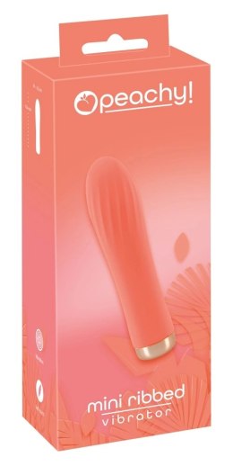 Peachy Mini Wibrator 10 Trybow Wibracji Rowkowany Pomarańczowy 13,6cm
