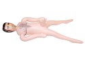 FunnyToys Hydraulik Dmuchana Lalka 165cm z Anatomicznym Elementem 20cm
