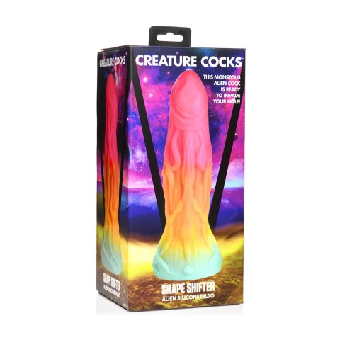 XR Brands Shape Shifter silikonowy model anatomiczny z przyssawką tęczowy XR Brands Shape Shifter silikonowy model anatomiczny z przyssawką tęczowy