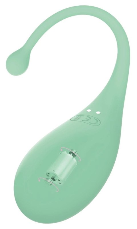 Adrien Lastic Palpitation Mint - Wibrujące Jajko Bluetooth, 18 cm