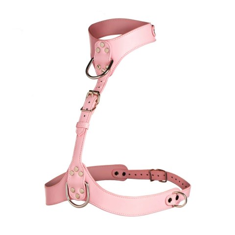 Vixen Harness dla kobiet Vegan Leather Rożowy regulowany