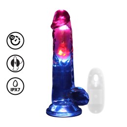 RealRock LED Wibrujący Model Anatomiczny z Przyssawką 20 cm Transparentny