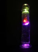 RealRock LED Wibrujący Model Prosty 20 cm Transparentny z Przyssawką