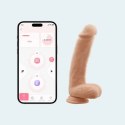 HoneyPlayBox Paxton - Anatomiczny model obrotowo-wibrujący 21,9 cm z mocowaniem