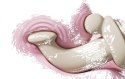Lovense Spinel 3-w-1 wielofunkcyjne urządzenie z funkcją aplikacji i podgrzewaniem
