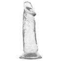 XRAY Clear Jelly 16.5 cm x 4 cm - Transparentny model z przyssawką
