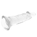 XRAY Clear Jelly 16.5 cm x 4 cm - Transparentny model z przyssawką