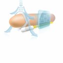 Andromedical Andropenis Mini - System wydłużający, dla rozmiaru do 8 cm